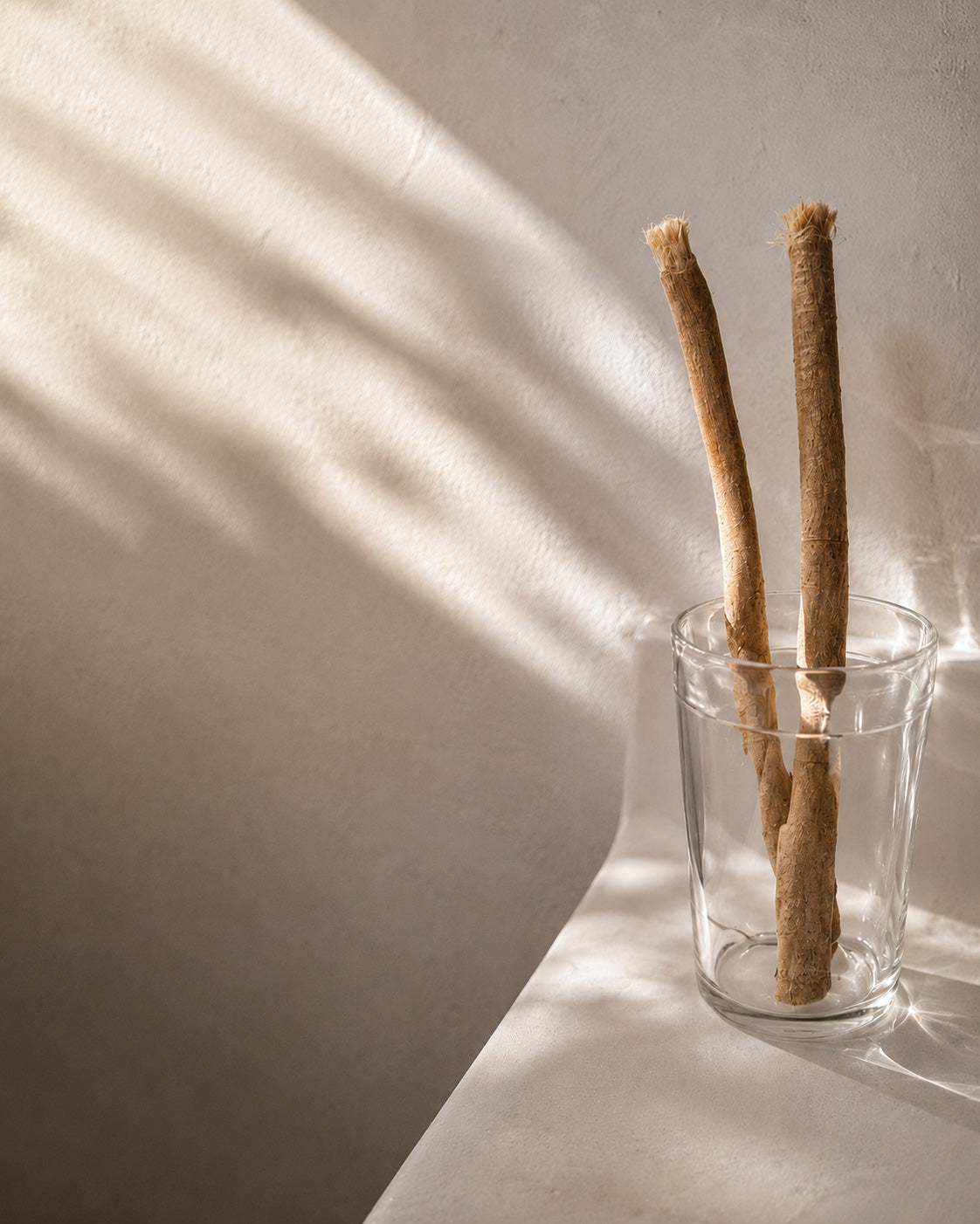 Two natural miswak sticks in a glass